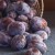 Plum CupPies