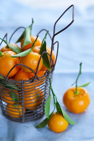 CE Blueberry Calamondin Marmalade-5.jpg