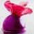 Pickled Red Onions