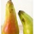 Anthropomorphism & Food