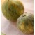 Luck & Melons