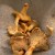 Welcome to Fall: Chanterelle Risotto with Seared Scallops
