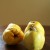 No Quince-idence